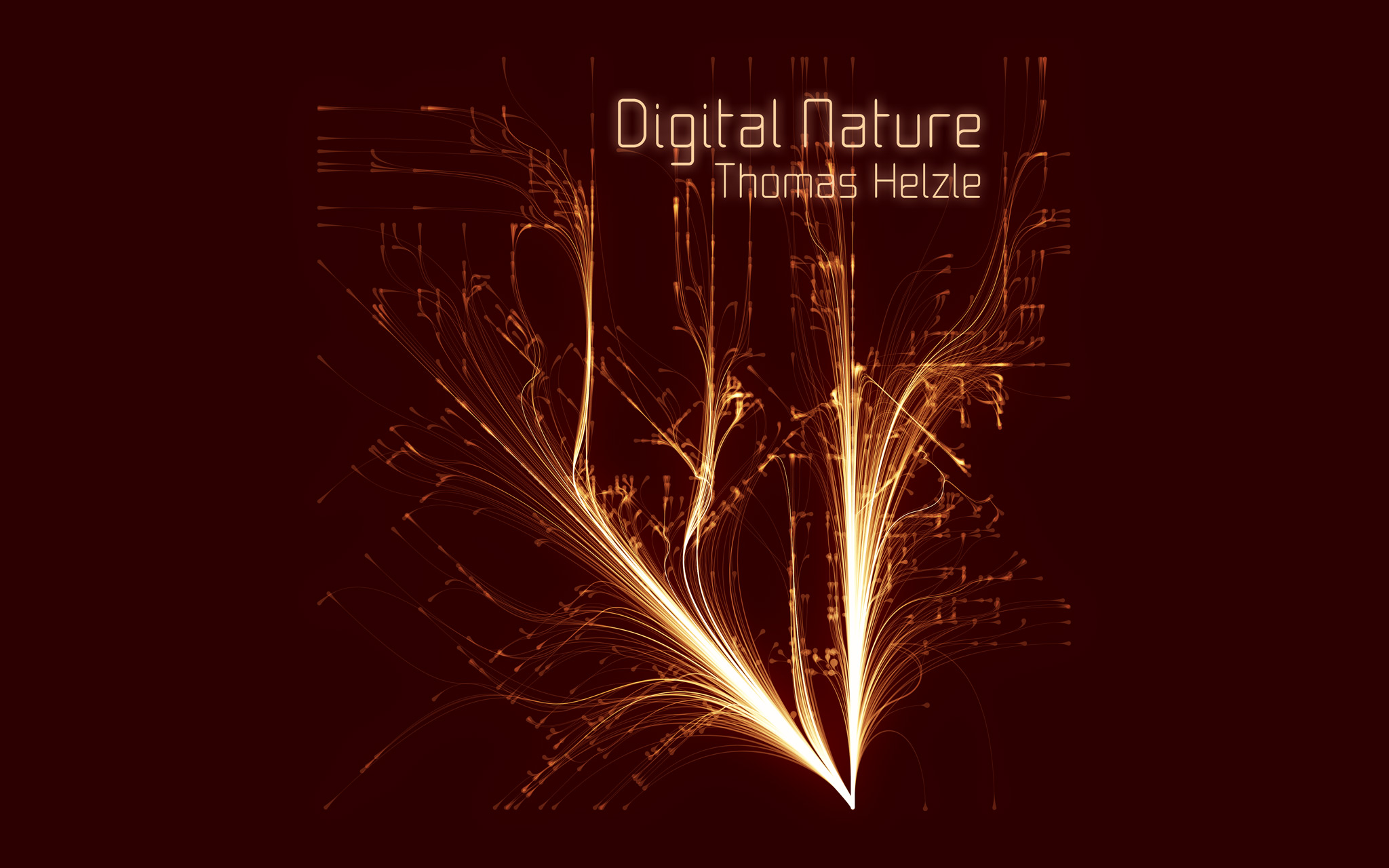Digital Natur | Thomas Helzle Record Sleeve designed in Grasshopper and Illustrator